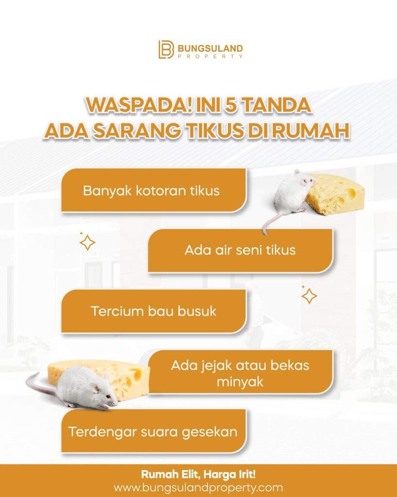 Waspadai 5 Tanda Sarang Tikus di Rumah Anda